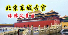 男生和女生一起搓搓搓很痛色情在线视频中国北京-东城古宫旅游风景区